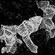 Illustration for article titled 10 Extreme--And Extremely Pretty--Close Ups of Bacteria and Plants